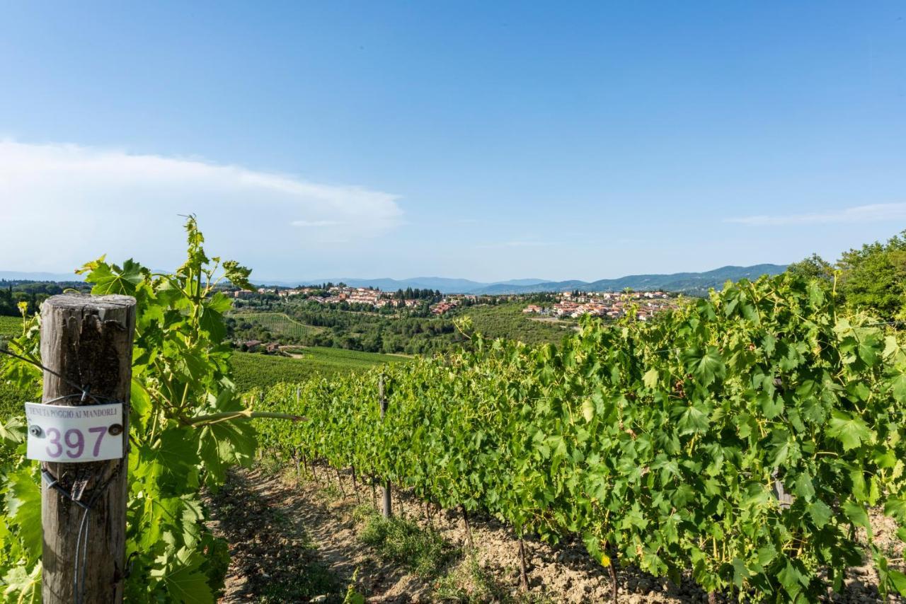 Tenuta Poggio Ai Mandorli Apartment Greve in Chianti Exterior photo